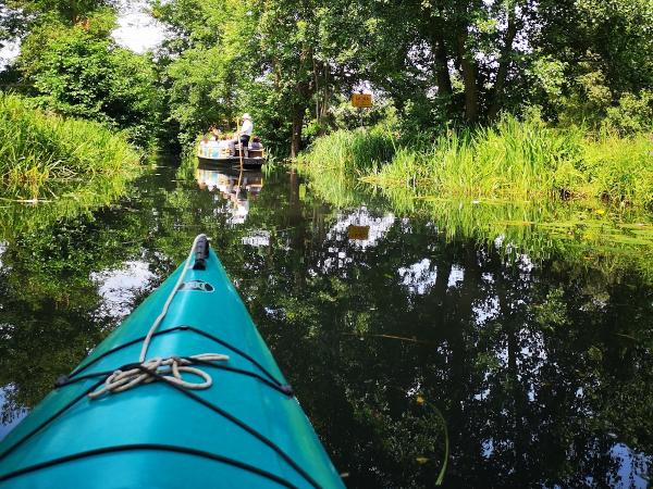 Spreewald Umgebung